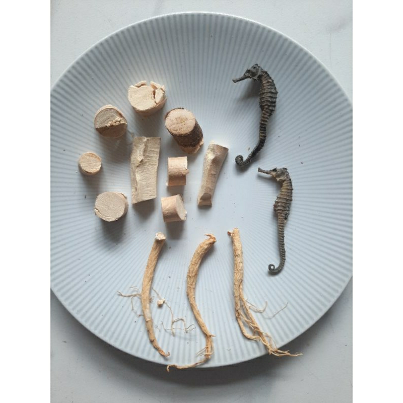 

KL MAI HA KERING 2 PCS + AKAR GINSENG 3 PCS + AKAR PASAK BU MI 9 PCS HERBAL OBAT KESUBURAN PRIA / WANITA