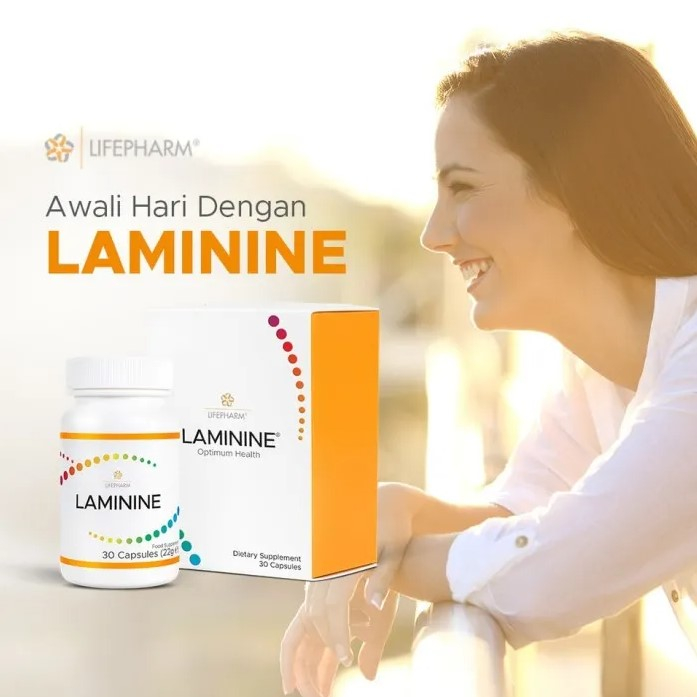 Laminine Stemcell Ori Laminine Stemcell Original 30 Kapsul Original Lifeparam USA