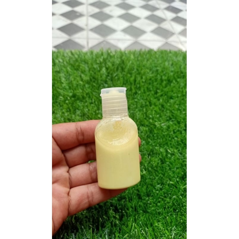 minyak belerang asli obat gatal alami