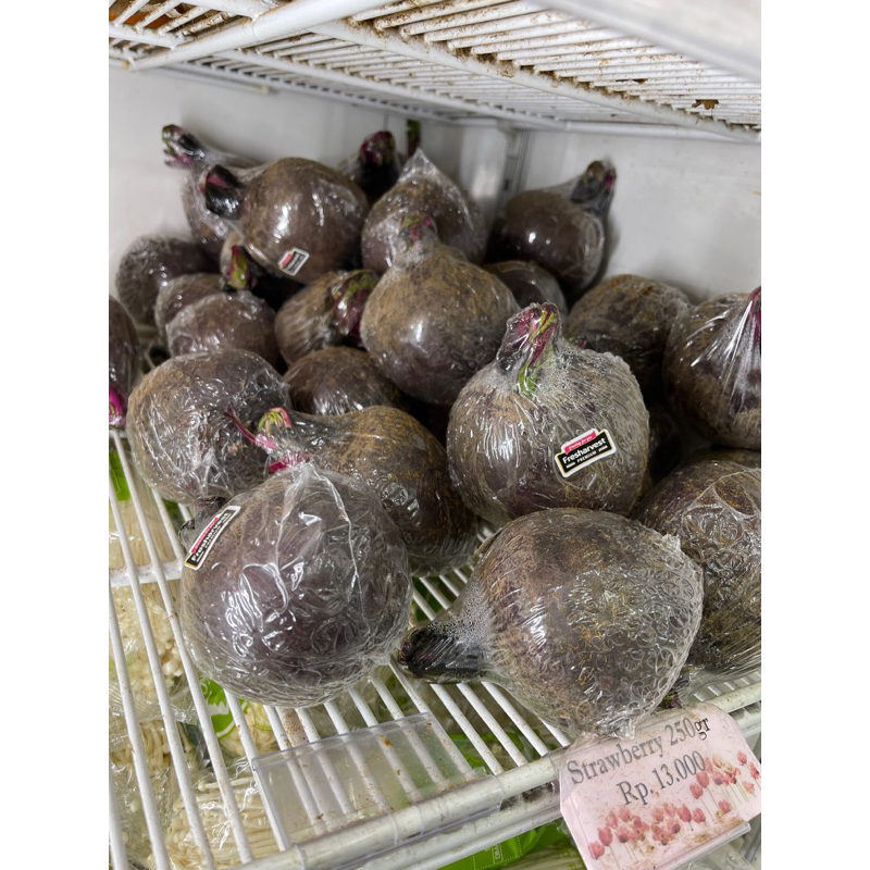 

BUAH BEET 1kg
