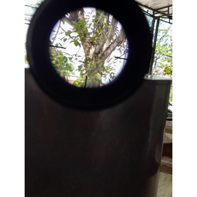 Vector Tourex 6-24x50FFP