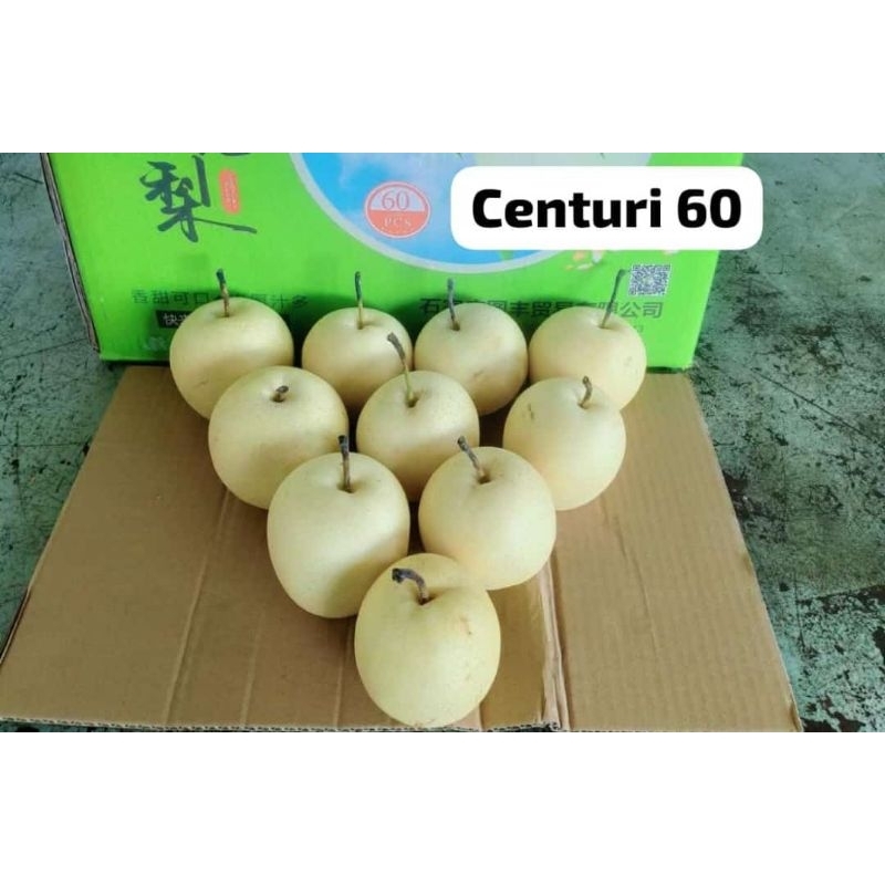 

Buah Pear Century