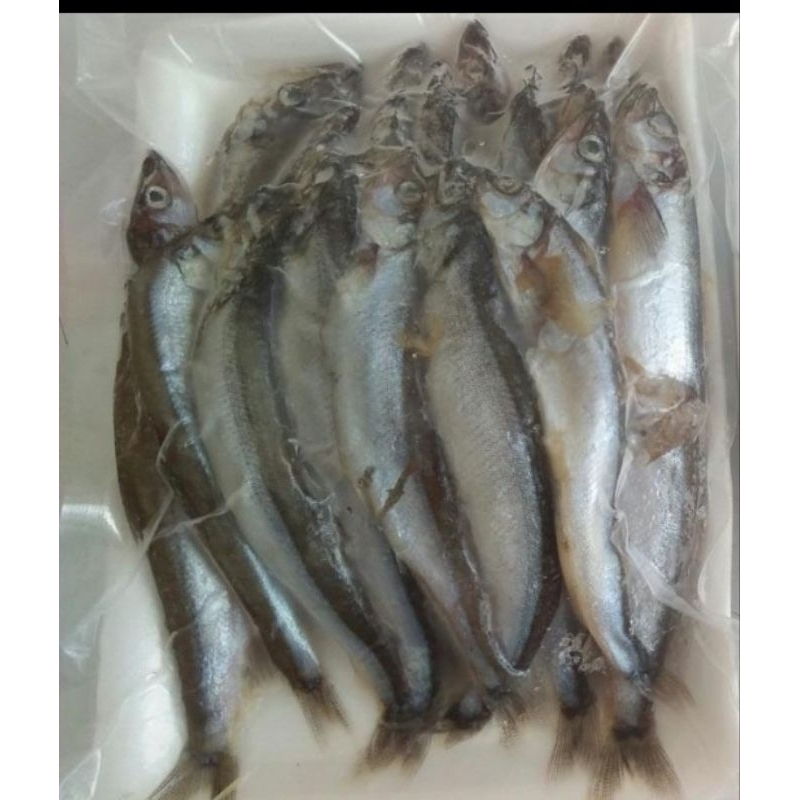 

Shisamo A (ikan capelin)