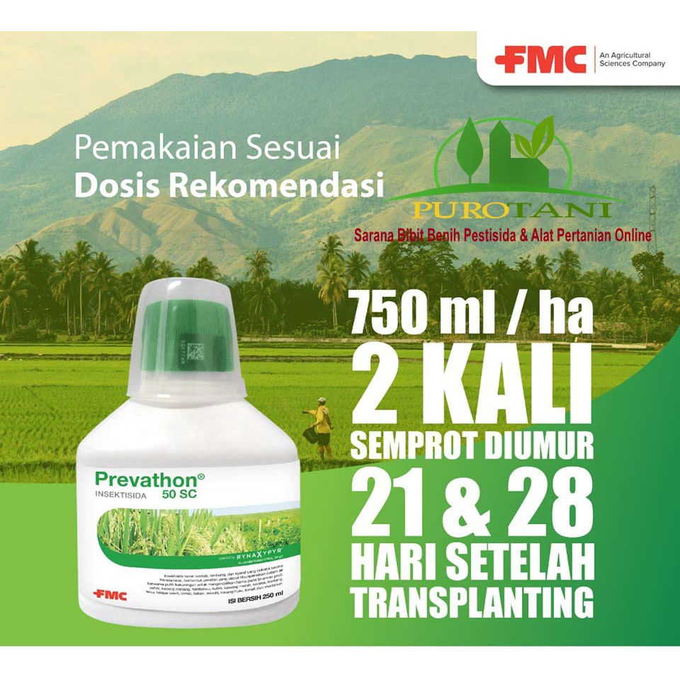 Pembasmi Hama Ulate Insektisida Dupont Prevathon 50 SC 250ml