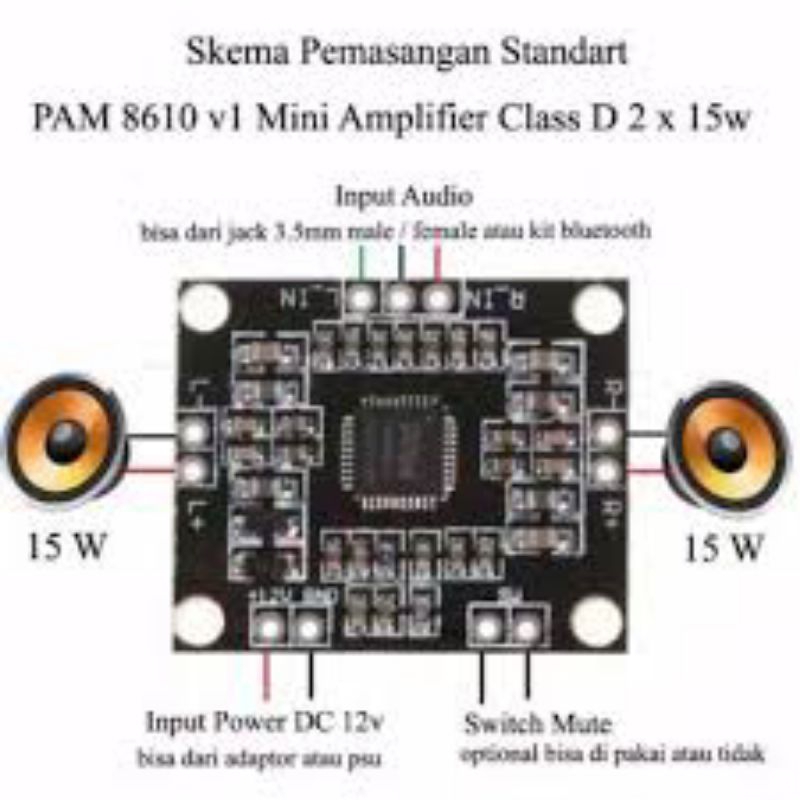 PAM8610