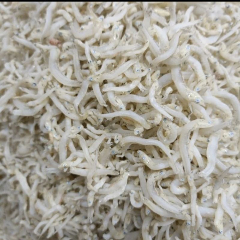 

Ikan Teri Toge Segar Khas Medan 1 kg