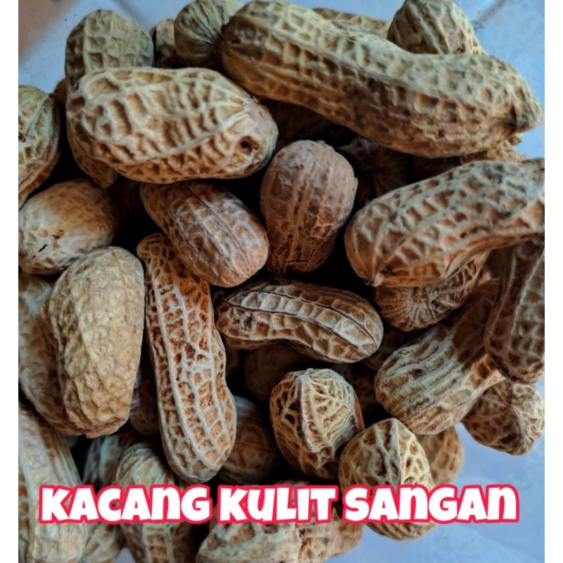 

Kacang Kulit Sangan 250 gr