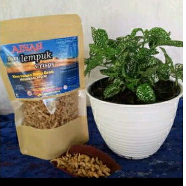 

Lempuk Krispi "Aisah" 150gram ORI PLASTIK STAND