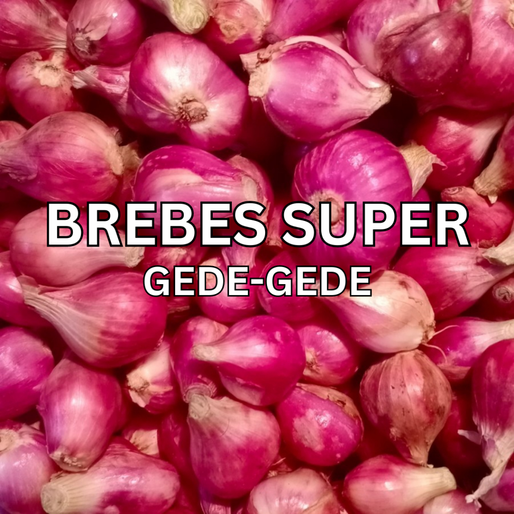 

Bawang Merah Brebes Super 1 kg Termurah