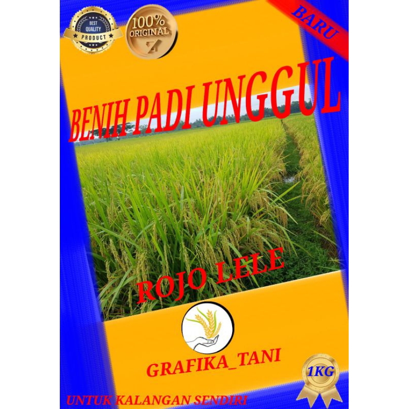 benih padi rojolele 1kg original