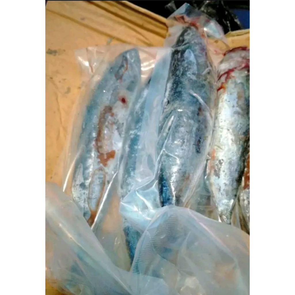 

Ikan Tongkol deho 1kg isi 4-8 ekor