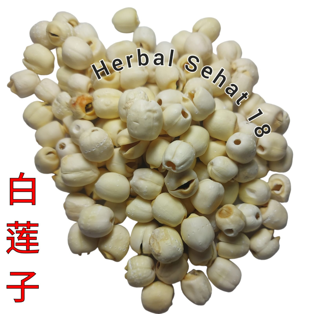 

Bai Lian Zi 白蓮子 Lian Zi - Biji Teratai - Lotus Seed Semen Nelumbinis Nucifera