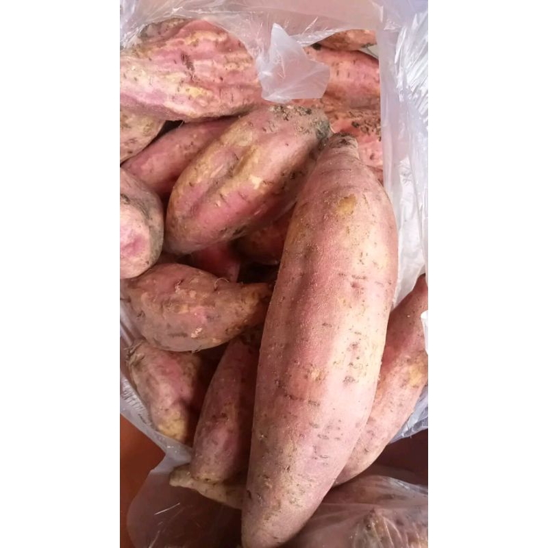 

Ketela ubi jalar organik 1kg