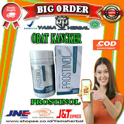 

Prostinal Original Obat Prostat Prostinol Asli Ampuh Terbaik