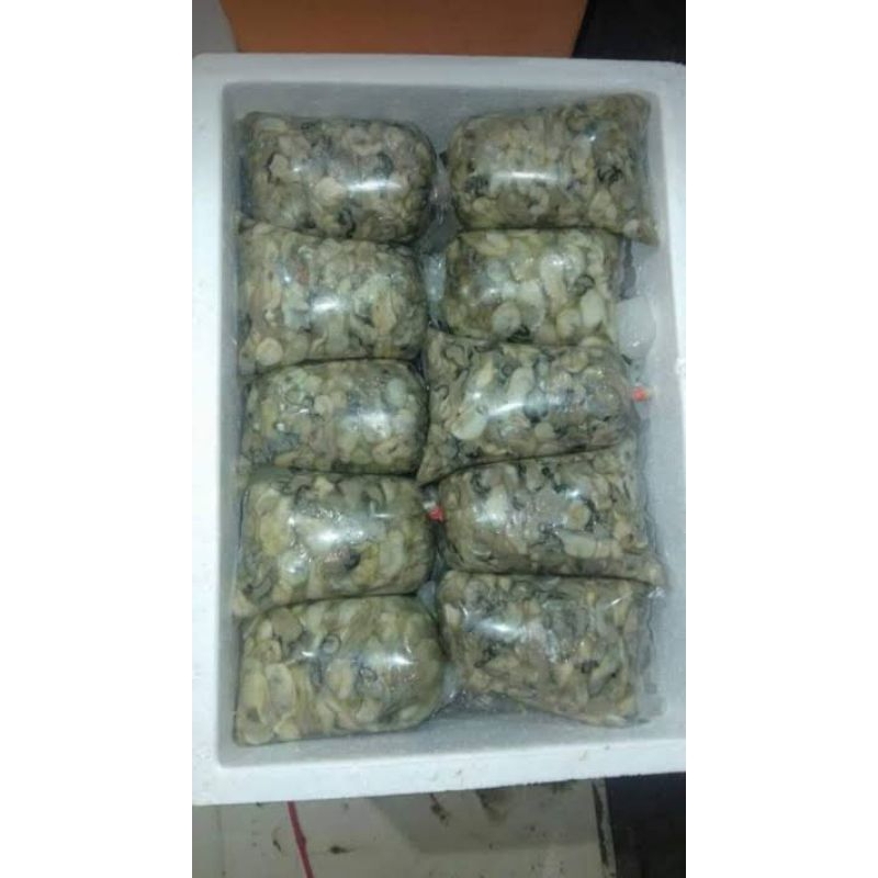 Kerang Tiram Kupas (Oyster Kupas)1kg