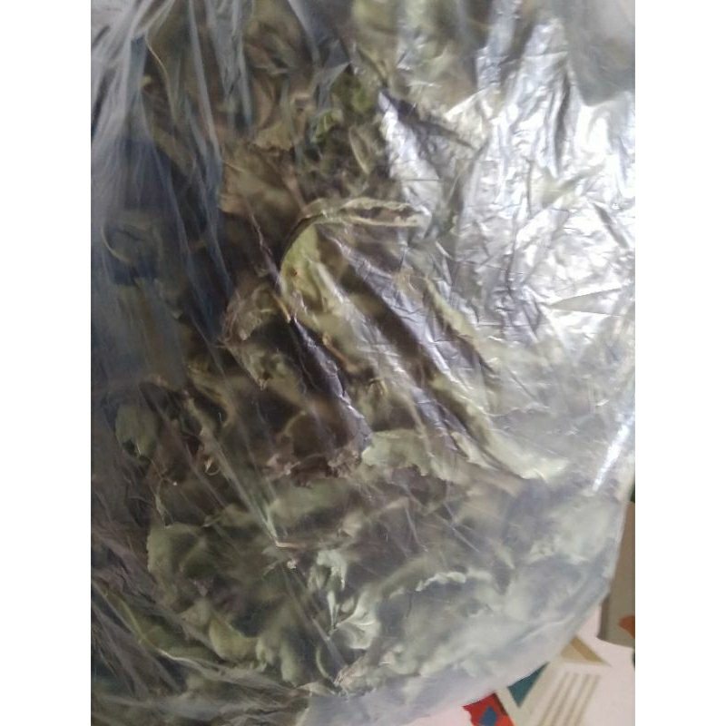 

Daun sembung nyawa kering 1kg