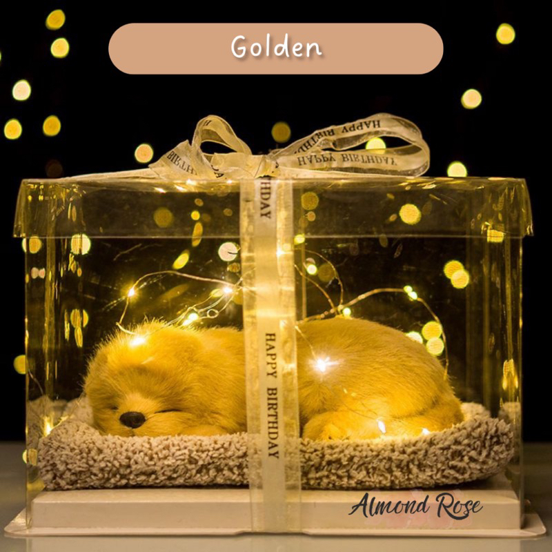 GOLDEN - Hampers Boneka Tidur kado cewe kado pacar hadiah kado boneka kucing kucing arang bambu bone