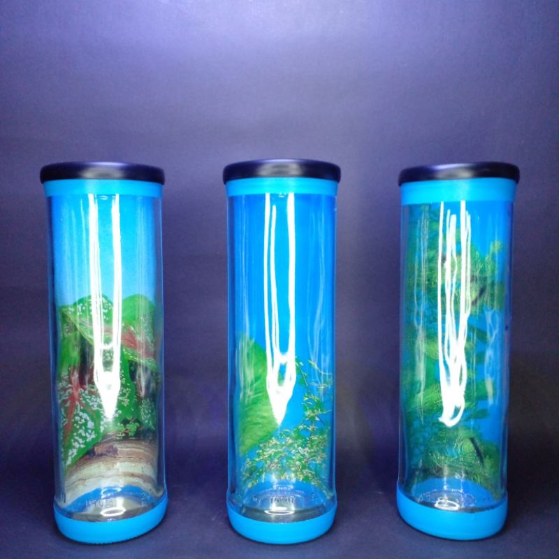 Aquarium mini/ Soliter Cupang/ Soliter mini/ Soliter ikan/ Botol ikan Cupang/ Aquarium ikan hias/ Wa