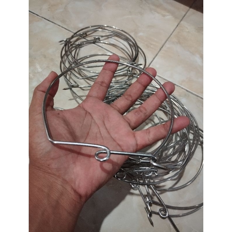 Kendatan ikan atau cantolan ikan