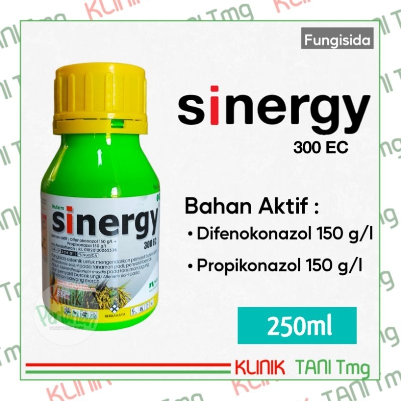 SINERGY 300EC - 250ml | FUNGISIDA SISTEMIK BERBAHAN AKTIF DIFENOKONAZOL 150 g/l + PROPIKONAZOL 150 g