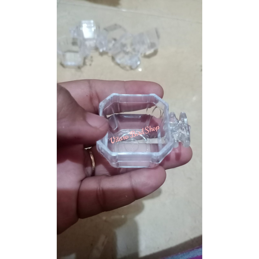 Cepuk segi 8 elite song NO 5 tempat makan dan minum untuk pleci kolibri