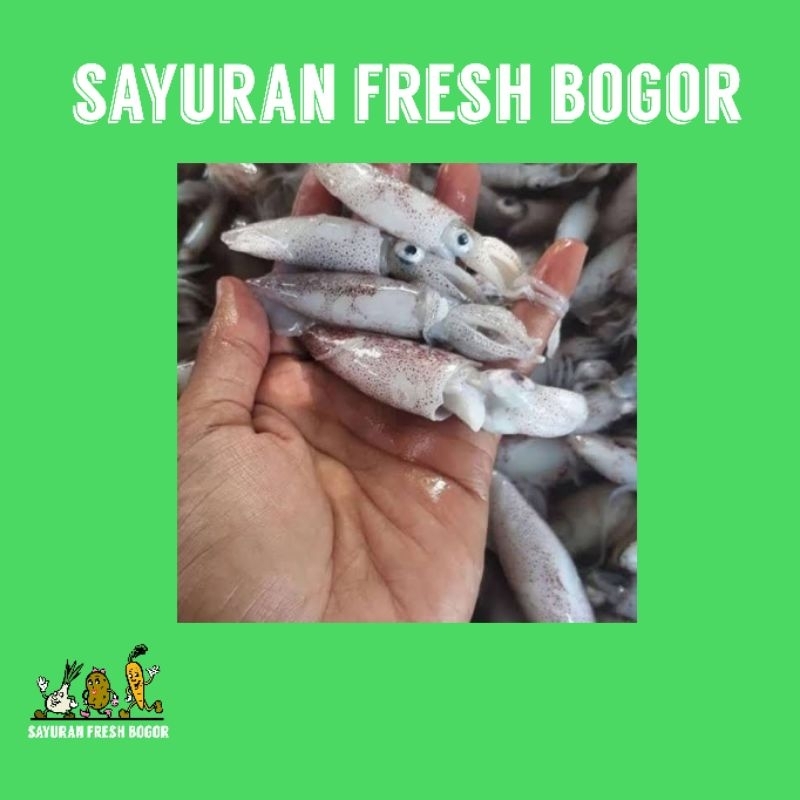 

Cumi Kecil ( 250 Gram ) | Sayuran Fresh Bogor