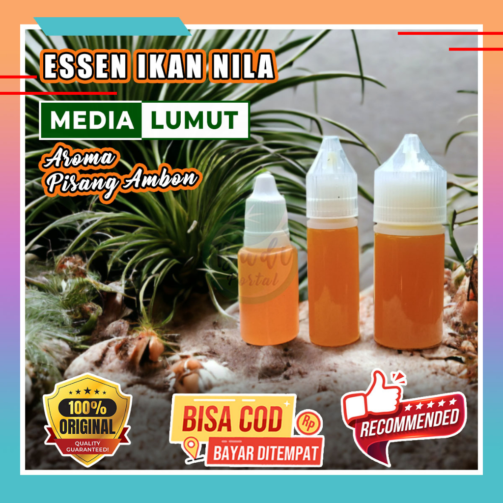 Essen Nila Media Lumut Aroma Pisang Ambon Esen Umpan Pancing Ikan Nila