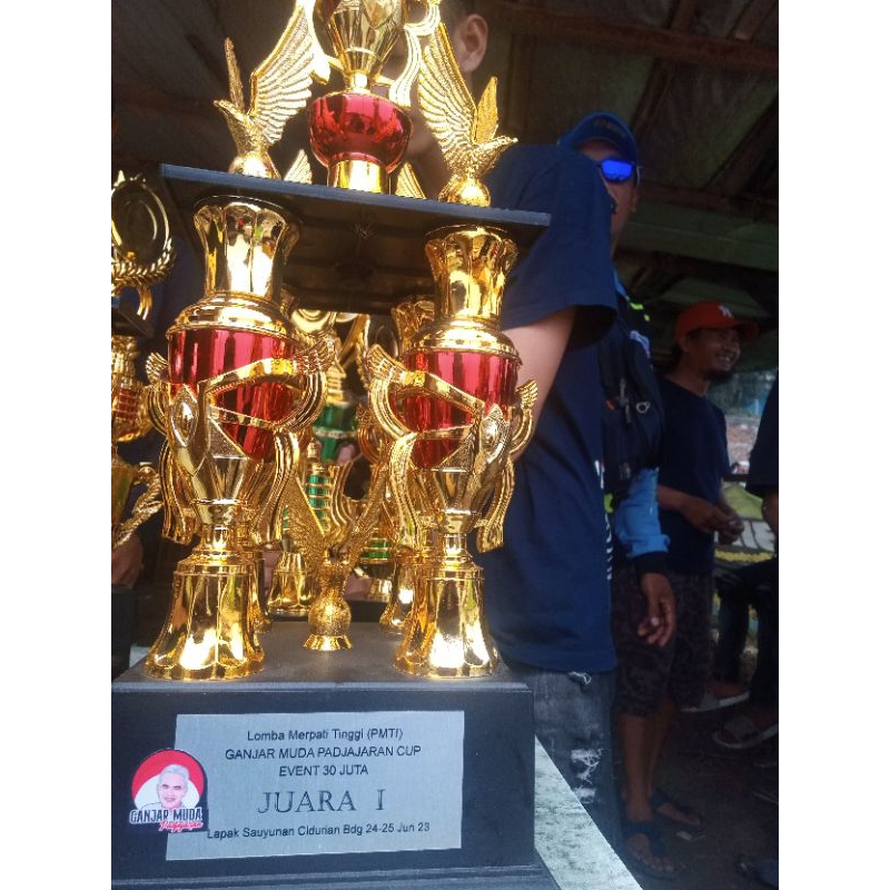 Giltbite_ Jamu Merpati Master Power Isi 100 Butir