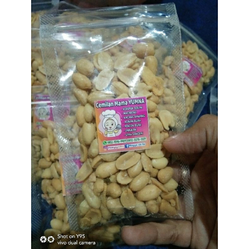 

kacang bawang