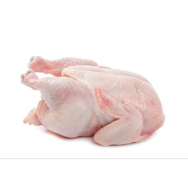 

Ayam Boiler berat +/- 950 gr