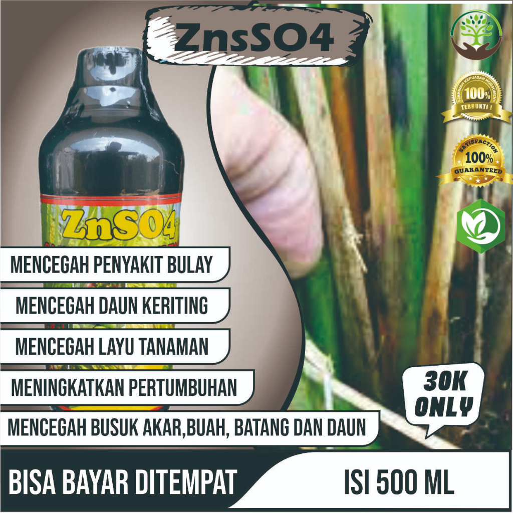Pupuk Mikro ZNSO4 Zink Sulfat Obat Asem-Aseman Pada Padi Obat Blast Merah Pada Tanaman Padi Paling B