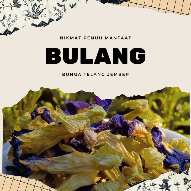 

Bulang (Butterfly Pea)