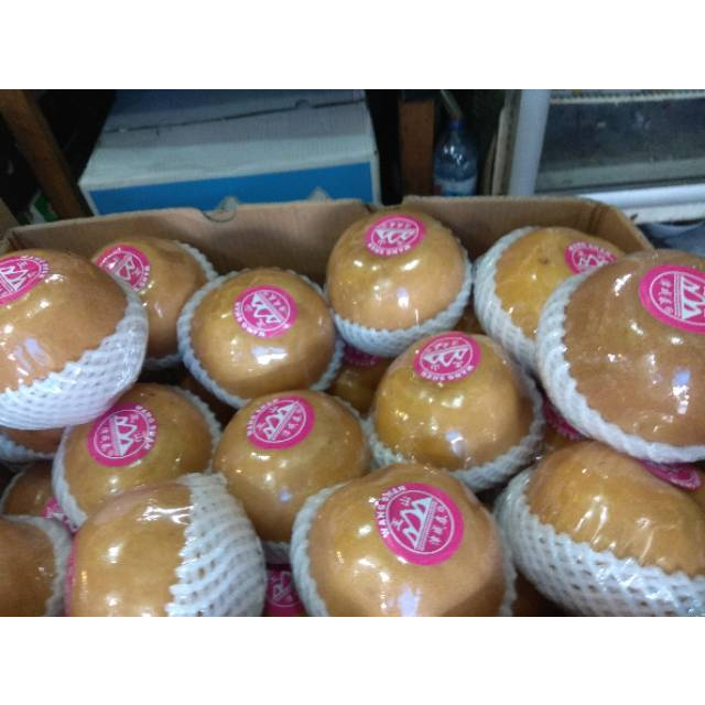 

QUEEN BUAH - BUAH PIR SINGO / PEAR KOREA WANGSAN HARGA PER 1 BUAH