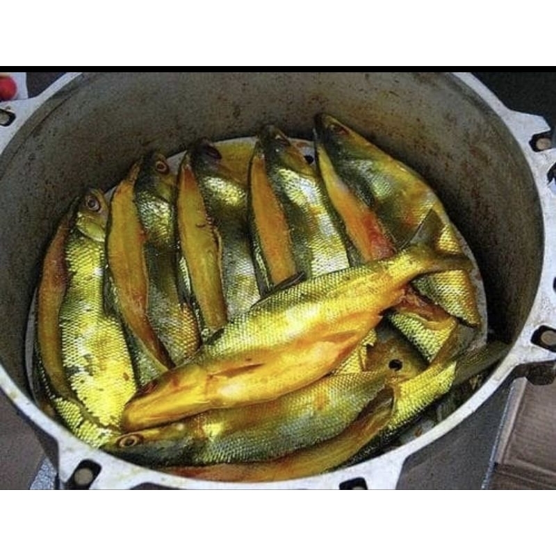 

bandeng presto khas juwana isi 2 & 3 / bandeng duri lunak
