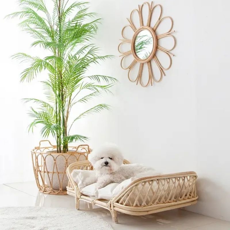 RUMAH ANJING ROTAN AESTHETIC / RUMAH KUCING