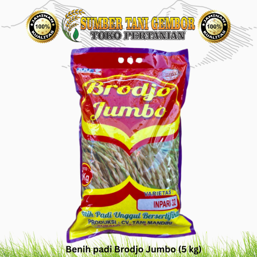 Inpari 32 Benih padi Brodjo Jumbo (5 kg)
