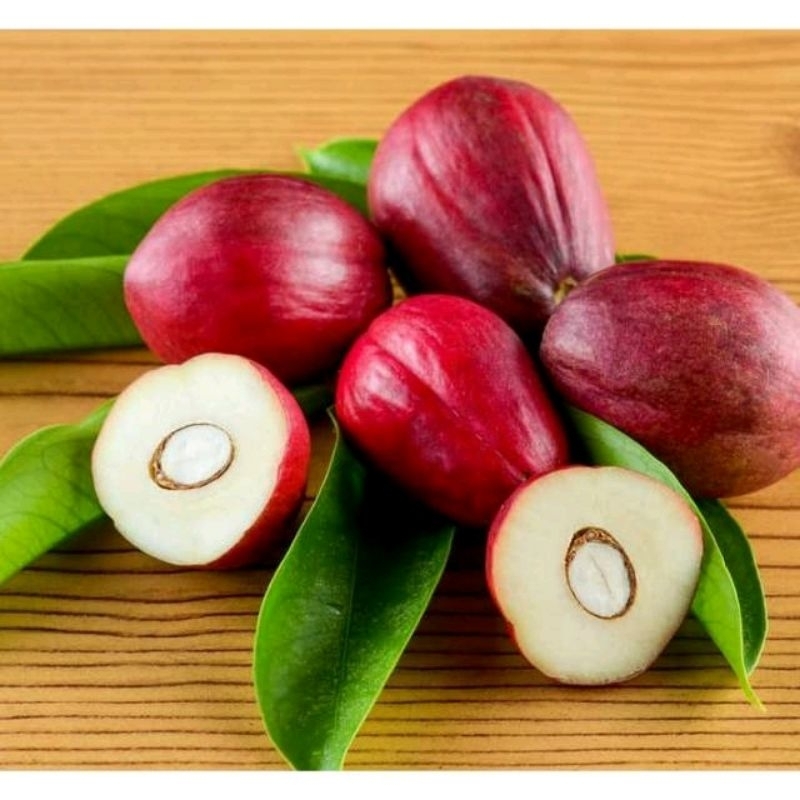 

Buah Mahkota Dewa 1kg fresh