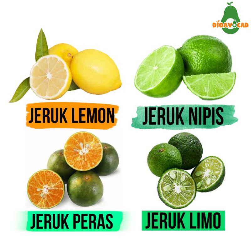 

jeruk lemon - jeruk nipis - jeruk peras - jeruk limo - harga per 1 kg