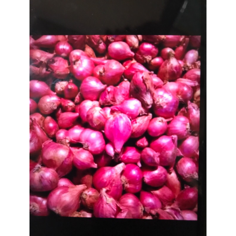 

Bawang Merah