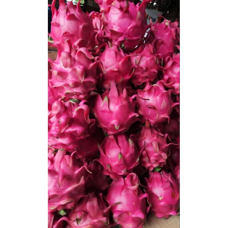 

Dragon Fruit 1Kg