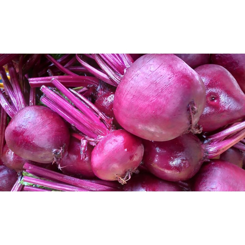 

buah beet root frehs