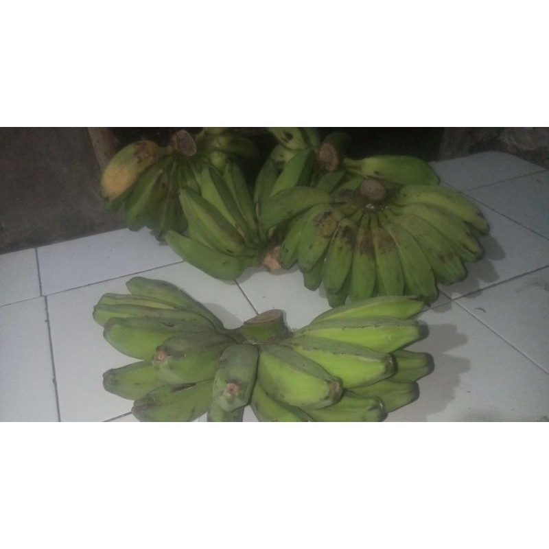 

PISANG KEPOK SUPER jual grosiran persisir murmer