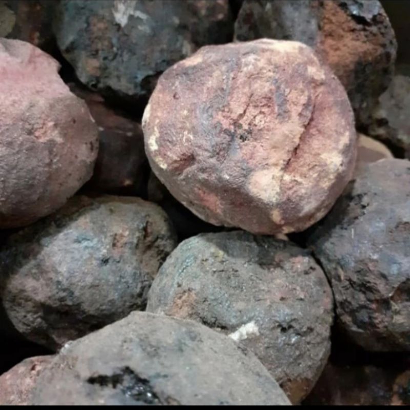 

Getah Gambir Kering Satuan 1 Biji