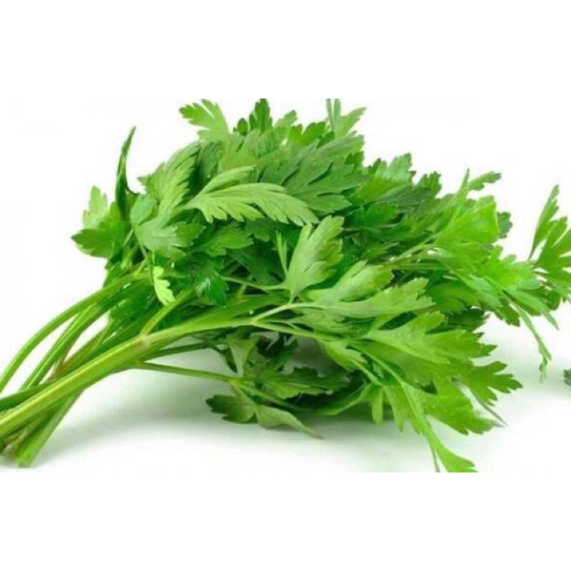 

DAUN SELEDRI 100GRAM FRESH