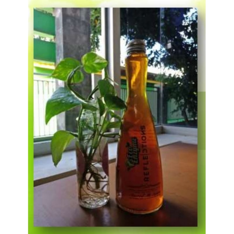 eco enzyme 250ml - 1000ml