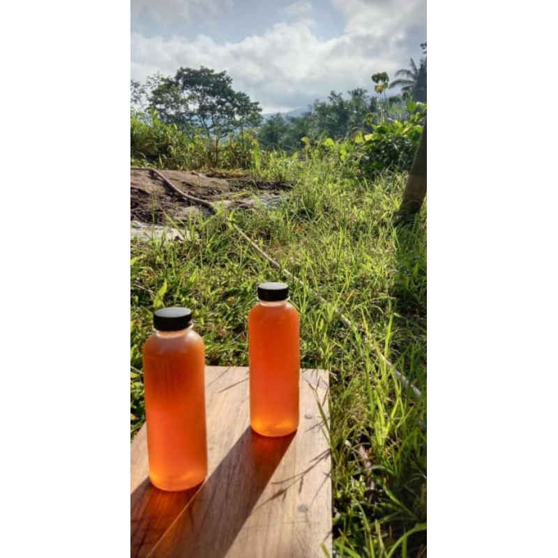 

Korzaln Madu Apis Cerana 1 Kg