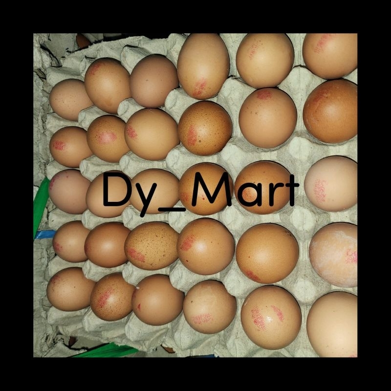 

Telur Ayam Omega Asli 500gram / 1Kg