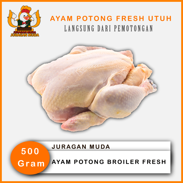 

Ayam Potong Fresh 500Gram Langsung dari Pemotongan | Bogor
