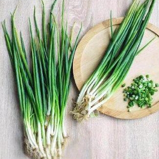 

Daun Bawang Kecil