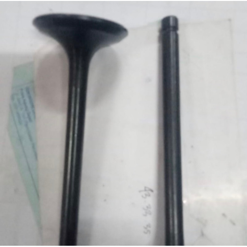 Engine Valve In Ex ZH1110 / Klep ZH1110